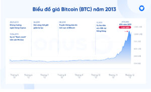 bieu do gia bitcoin nam 2013